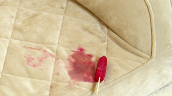 Cleaning a popsicle off a dog bed